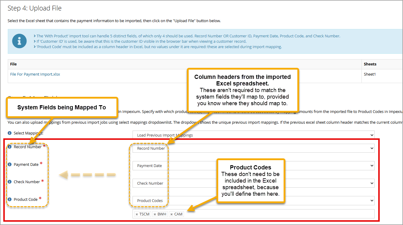An image of the Payment Import form.